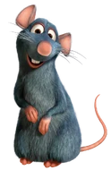Remy