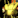 IconSmall Mantid