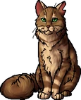 Crookedstar.leader