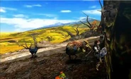 Mh4 Gagua Confirmed
