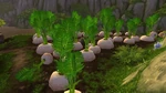 SugarBeets