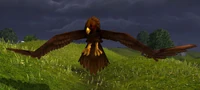 GrainhunterHawk