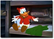 44405