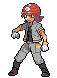Roco N2B2.gif