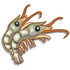 Prawn-icon