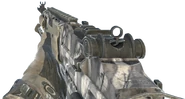 MK14 Winter MW3