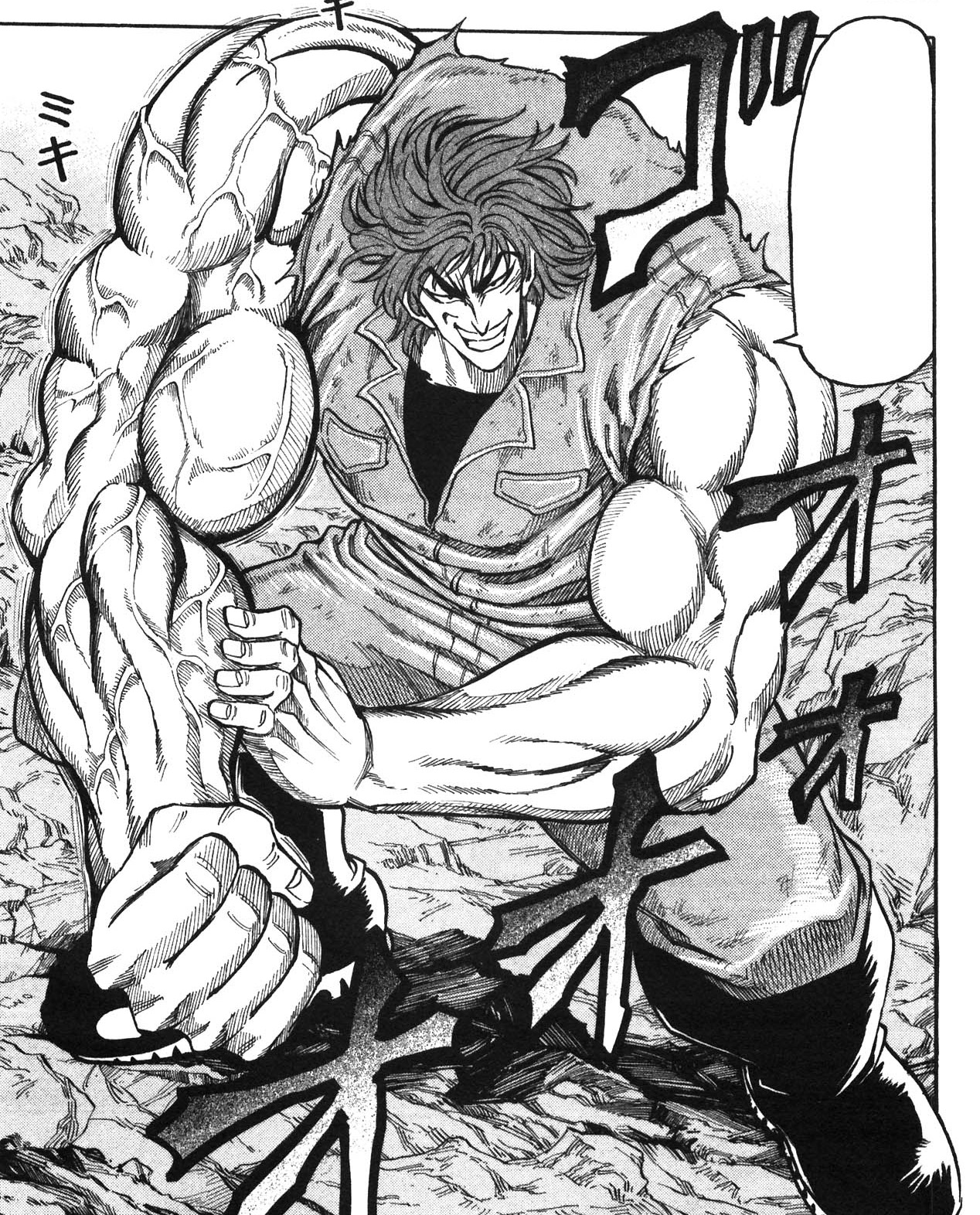 toriko phantom brigade