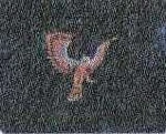 Mini Falcon Hawk