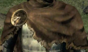 Leather Cape