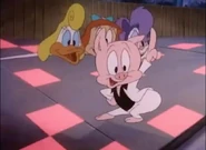 DiscoHamton