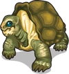 Lonesome george single
