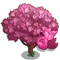 Pink Tulip Tree-icon