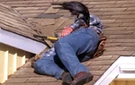 Eli Scruggs Dead