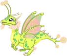 PollenDragonAdult