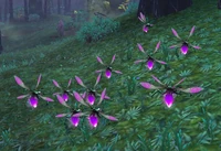 ZijinHollowfly