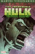 Hulk Visionaries Peter David Vol 1 3