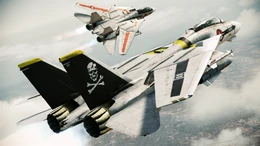 Garuda squadron