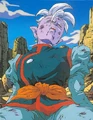 DBZ - 224 -(by dbzf.ten.lt) 20120303-15151486