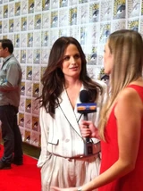Comic-Con 2012 panel 07