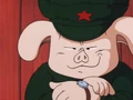 Popular oolong pic
