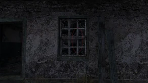 Ghost Window