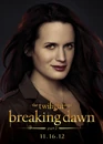 Tsbd2 ESME front