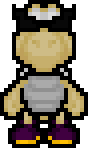 DARK KOOPA