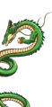 Shenron2013