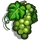 Sauvignon Blanc-icon