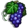 Syrah-icon