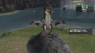 MHFO Dante Lv3 Raw Halk 13