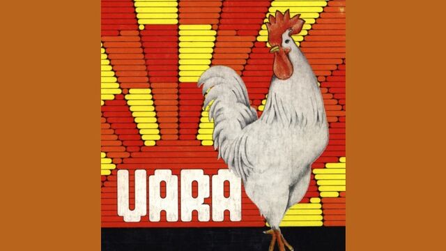 Vara Logo