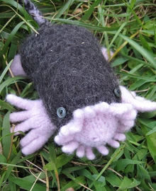 Star-nosed mole