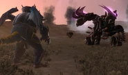 Arsac Faces Capastrus