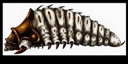 Zerglarvae