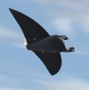 Manta Jet Bottom