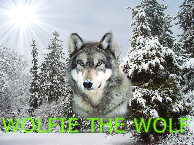 Wolfe the wuff