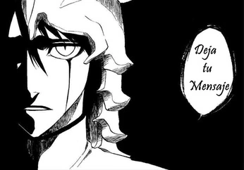 Bleach on Kurai Mun   Bleach Wiki  Tu Fuente De Informacion Bleach En Espa  Ol
