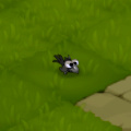 Croboar