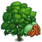 Candy Pecan Tree-icon