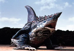 Geo Shark