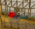 Potted Plant.png