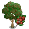 Yaupon Holly Tree-icon