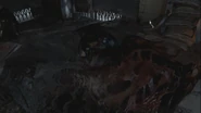 Snake9