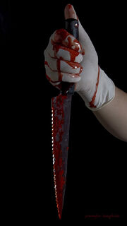 Bloody knife009copy