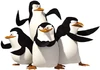 Penguins