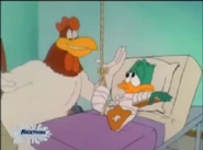 Foghorn&BandagedPlucky