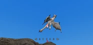 MHFO Shiva Lv3 Ice Halk 20