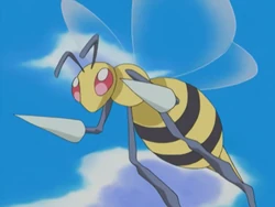 Casey Beedrill