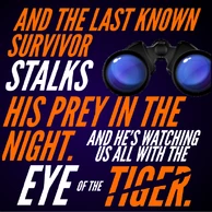 Eyeofthetiger